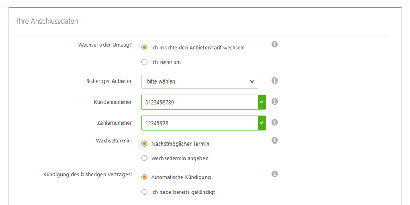 Eingabe der Kunden- und Zählernummer